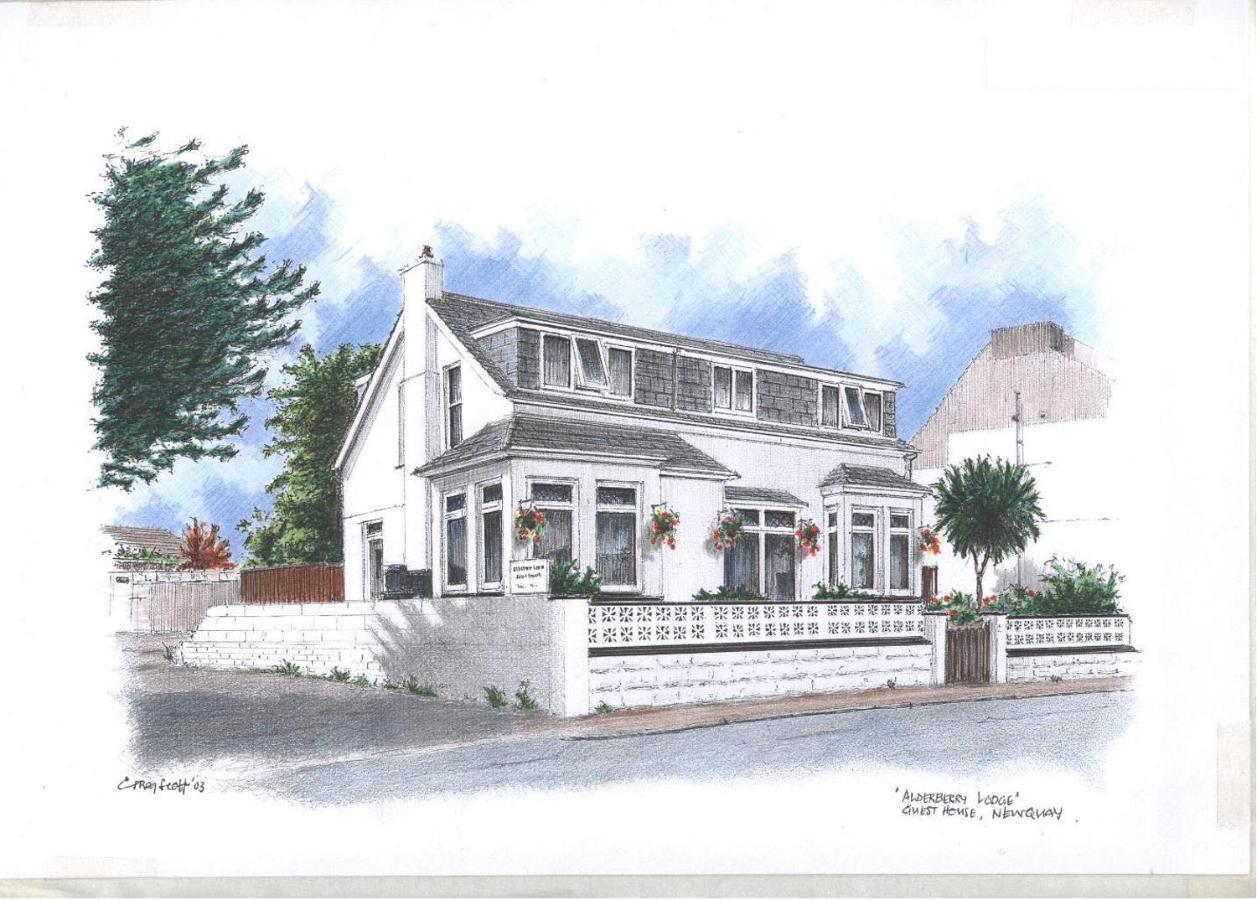 Alderberry Lodge New Quay Exterior foto